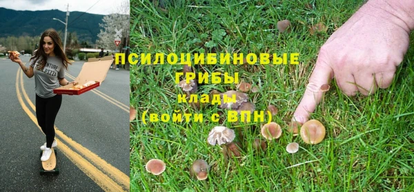 молекула духа Аркадак