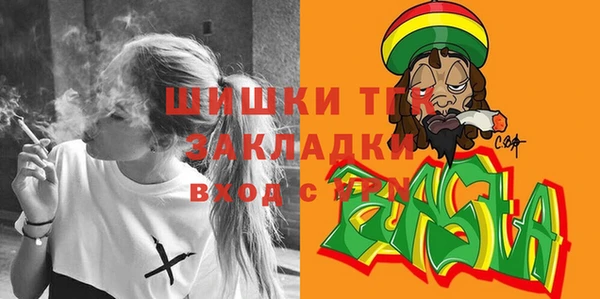 ГАЛЛЮЦИНОГЕННЫЕ ГРИБЫ Арсеньев