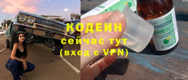 ГАЛЛЮЦИНОГЕННЫЕ ГРИБЫ Арсеньев