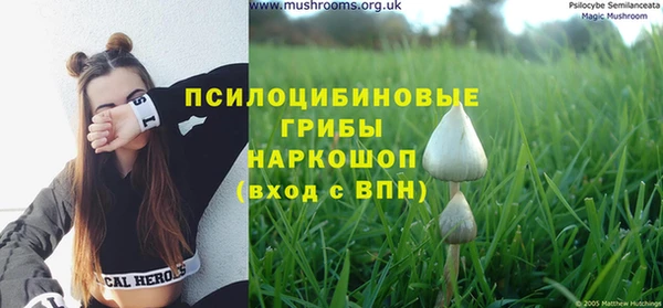 ECSTASY Баксан