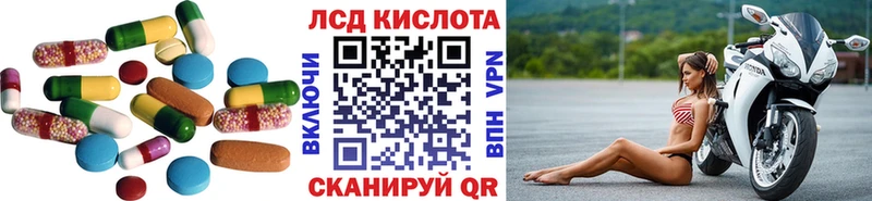 дарнет шоп  Бикин  мега как войти  LSD-25 экстази кислота 